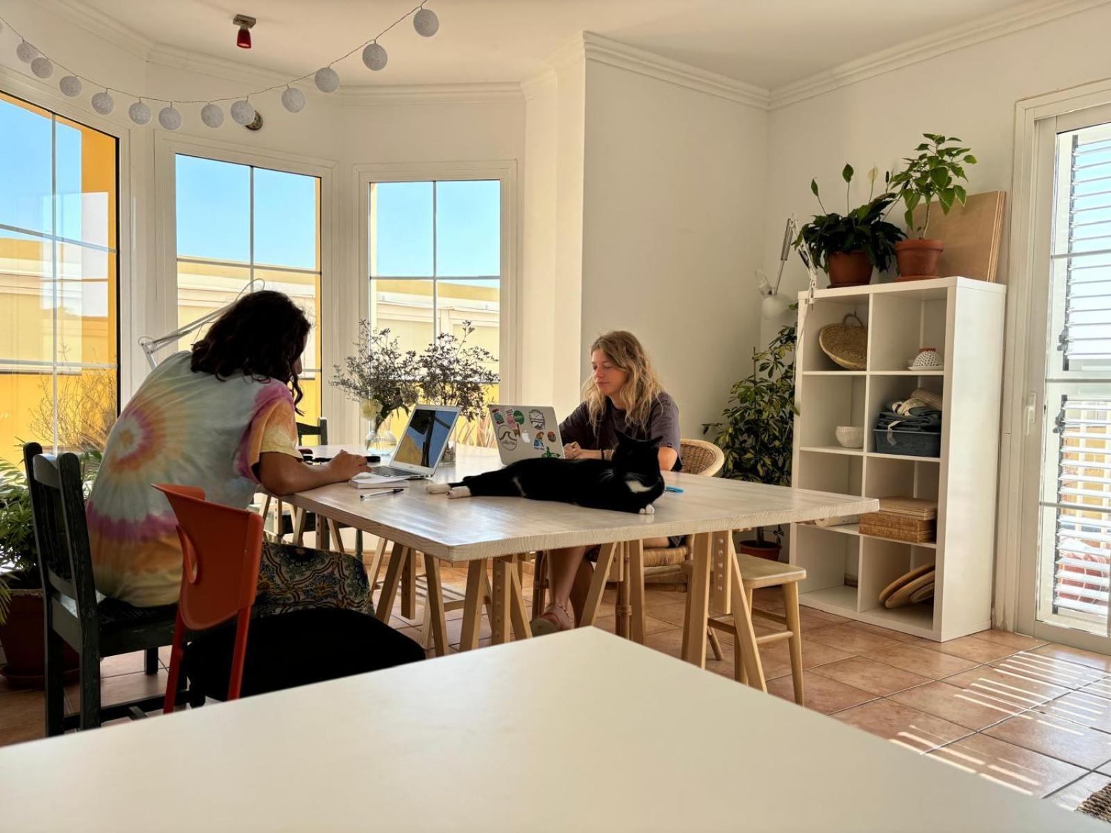 Medano Beach Coliving El Médano Exteriör bild